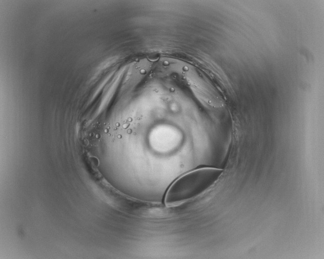 X0000115830163200911271206