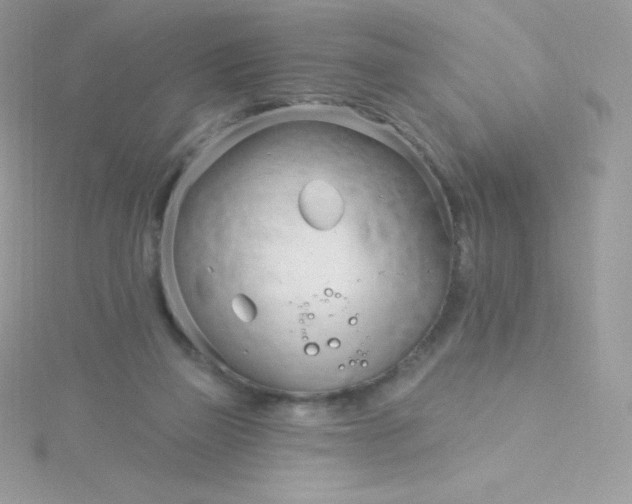 X0000115830165200911271206