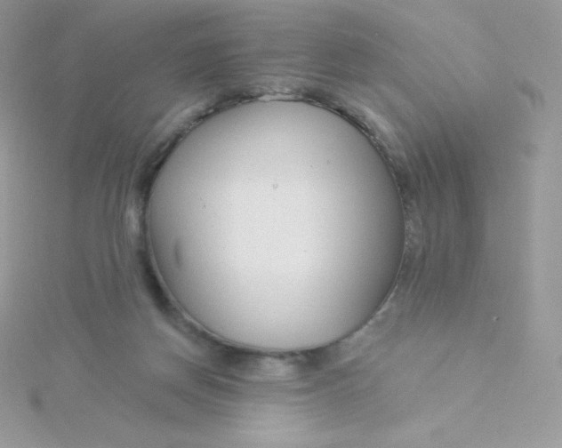 X0000115830166200911271206