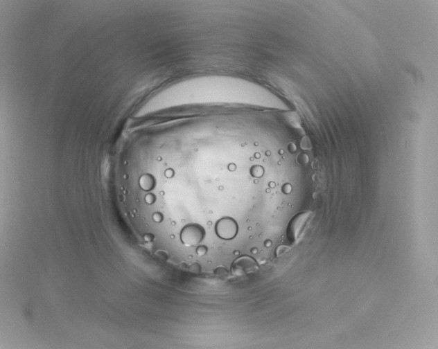 X0000115830167200911271206