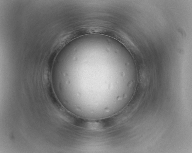 X0000115830169200911271206