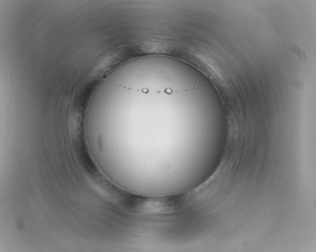 X0000115830171200911271206