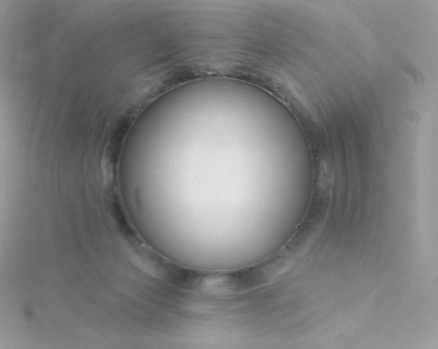 X0000115830173200911271207