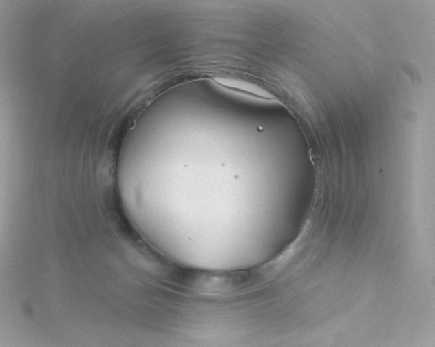 X0000115830174200911271207