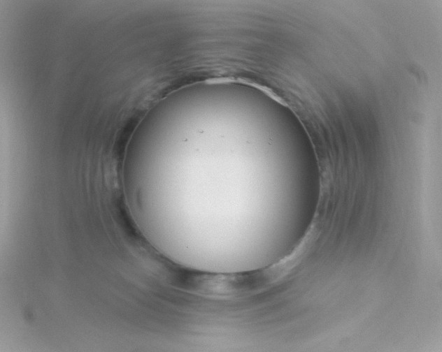 X0000115830182200911271207