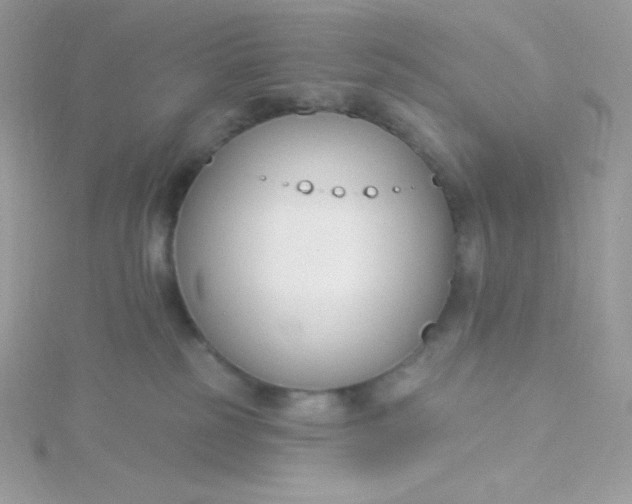 X0000115830185200911271207