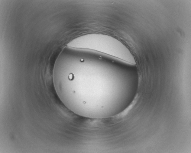 X0000115830186200911271207