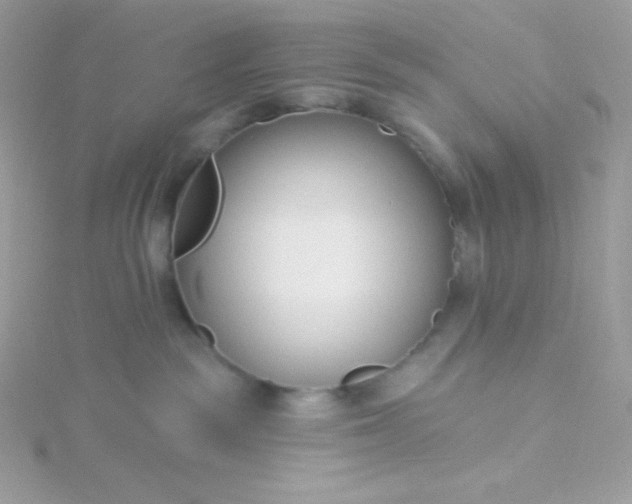 X0000115830189200911271207