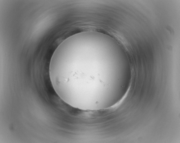 X0000115830190200911271207