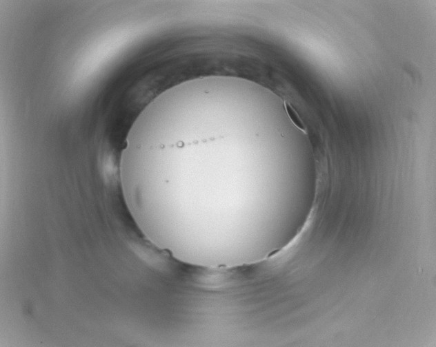 X0000115830191200911271207