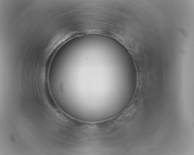 X0000115830194200911271206