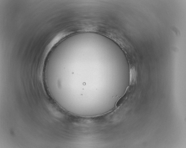 X0000115830195200911271206