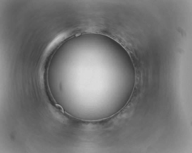 X0000115830197200911271206