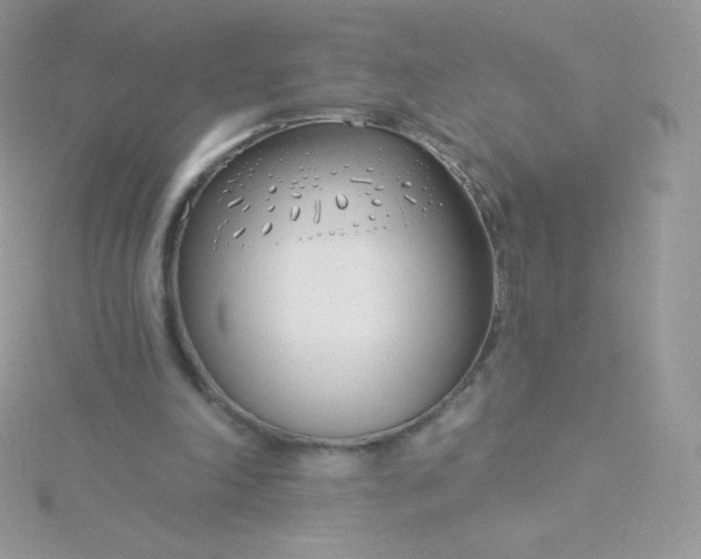 X0000115830198200911271206