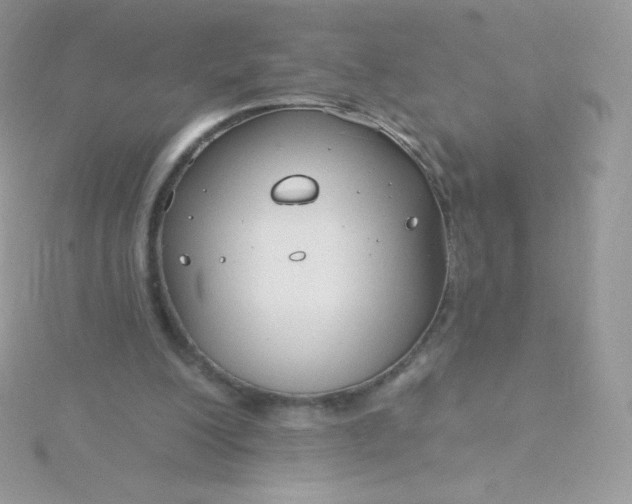 X0000115830200200911271206