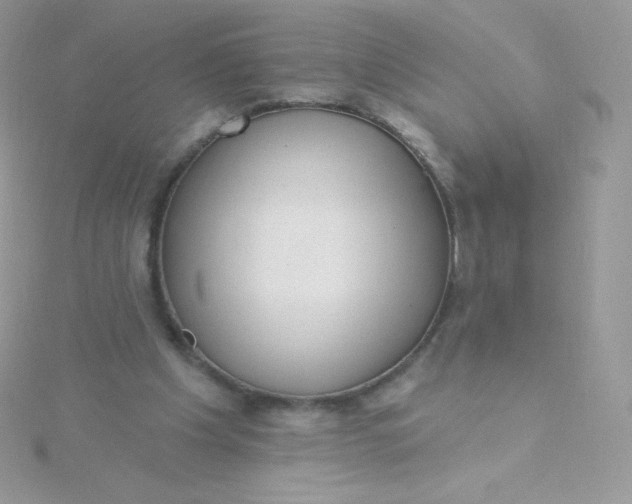 X0000115830201200911271206