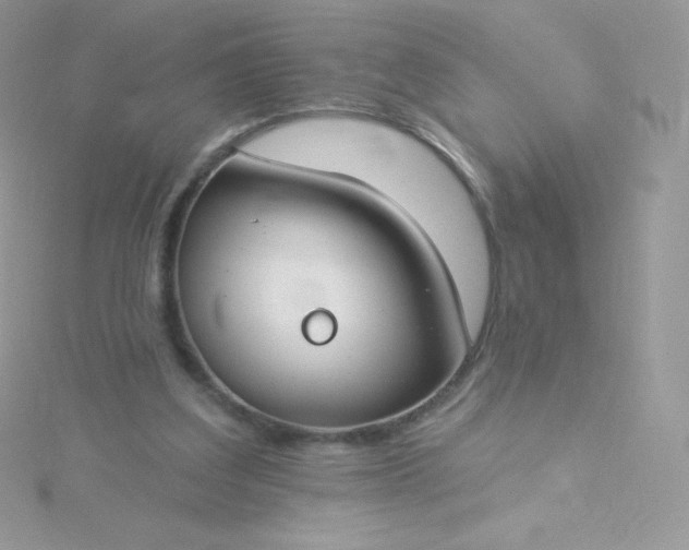 X0000115830203200911271206