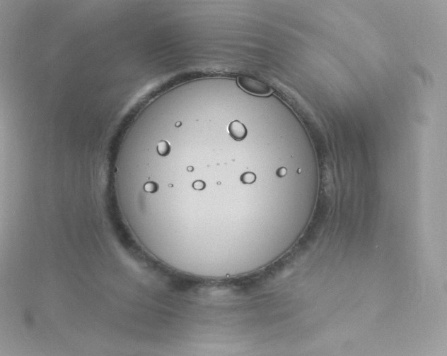 X0000115830208200911271206