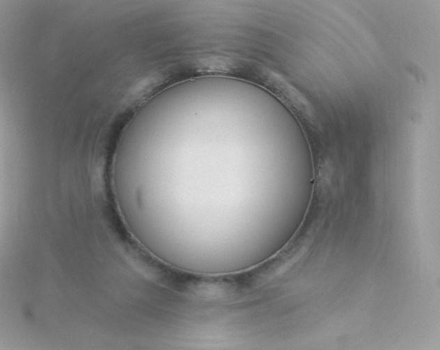 X0000115830209200911271206