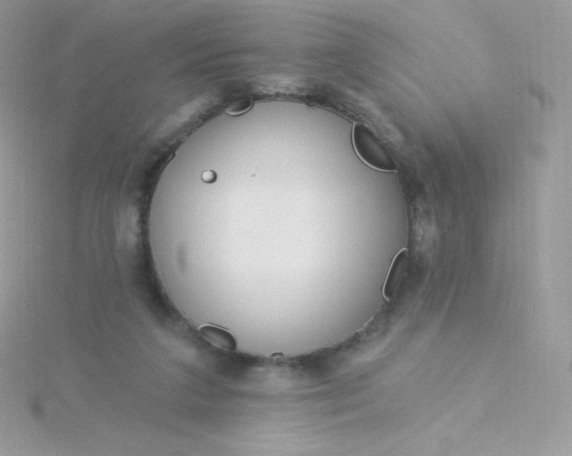 X0000115830211200911271206