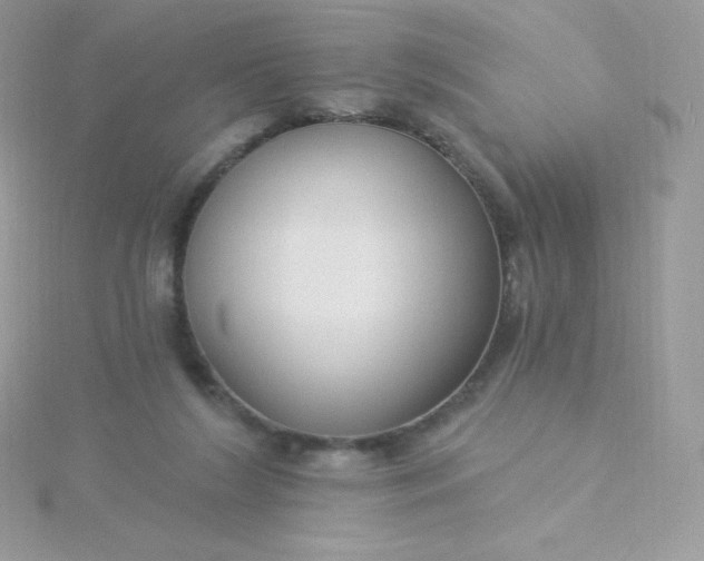 X0000115830212200911271206