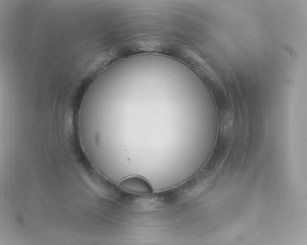 X0000115830213200911271206