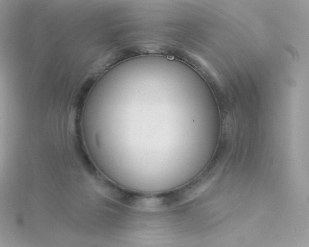 X0000115830217200911271206