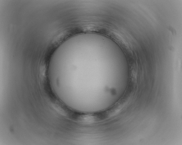 X0000115830219200911271206