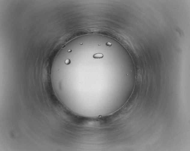 X0000115830220200911271206