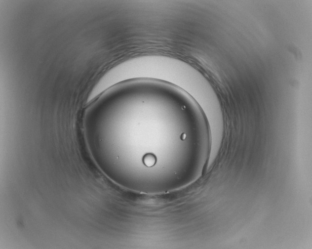 X0000115830221200911271206