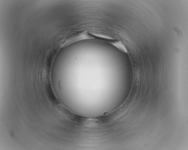 X0000115830222200911271206