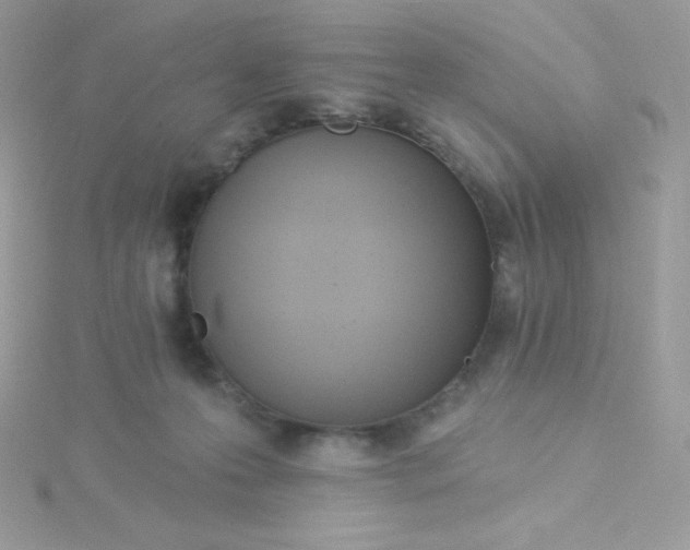 X0000115830223200911271206