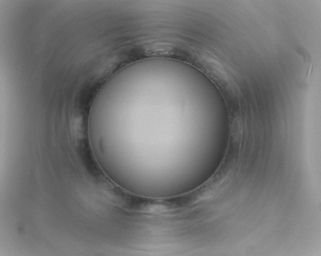 X0000115830224200911271206