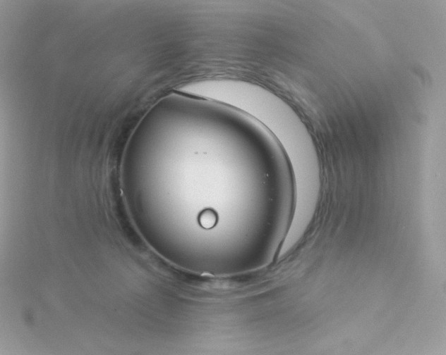 X0000115830225200911271206