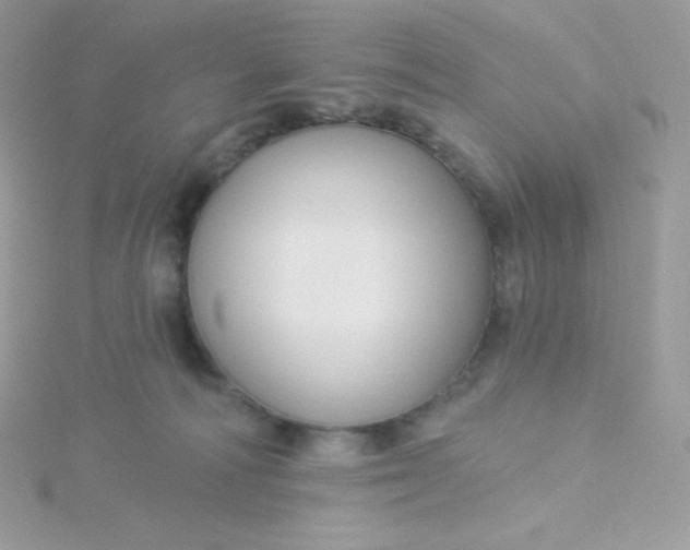 X0000115830226200911271206