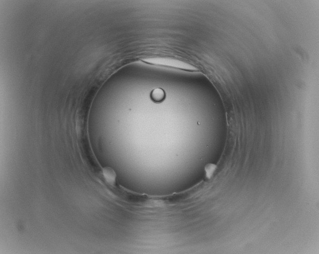 X0000115830227200911271206