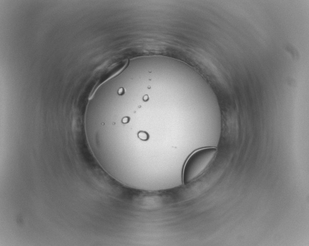 X0000115830228200911271206