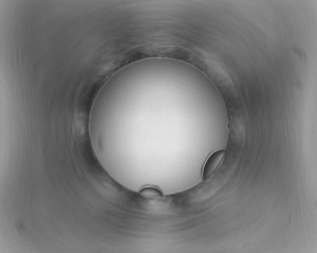 X0000115830232200911271205