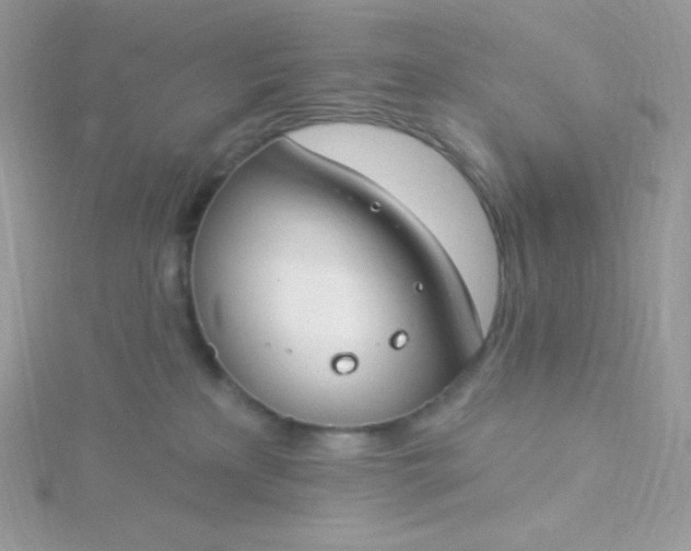 X0000115830233200911271205