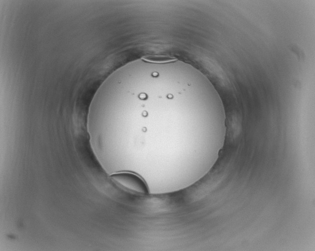 X0000115830236200911271205