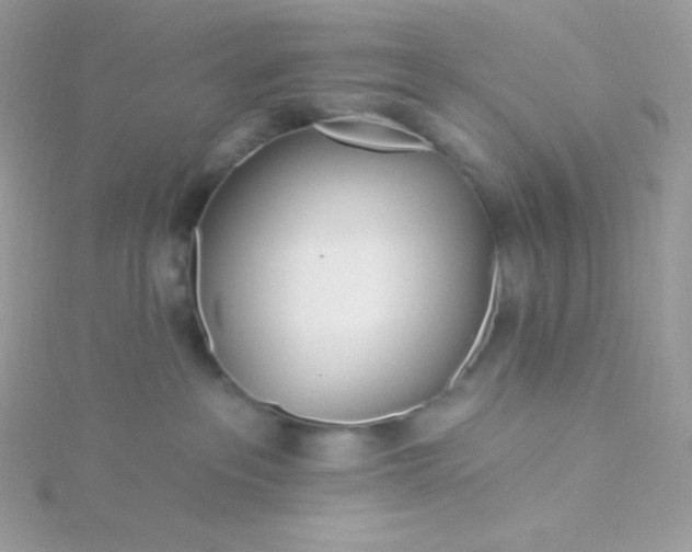 X0000115830237200911271205