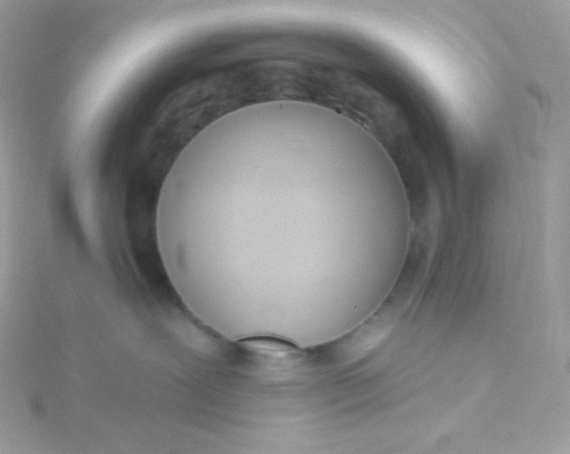 X0000115830239200911271205