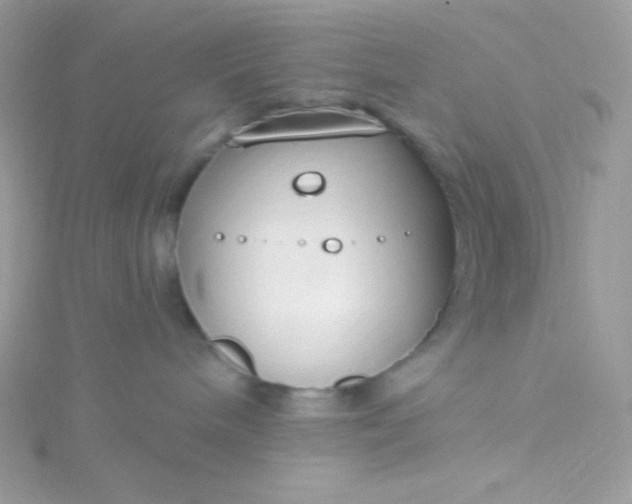 X0000115830240200911271205