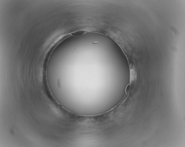 X0000115830243200911271205