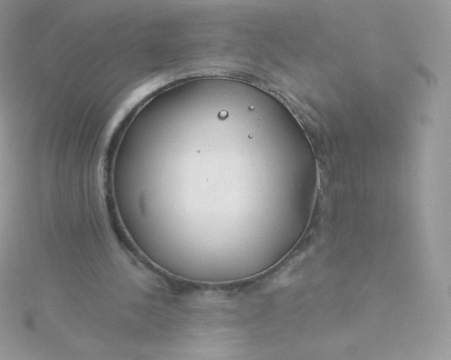 X0000115830244200911271205