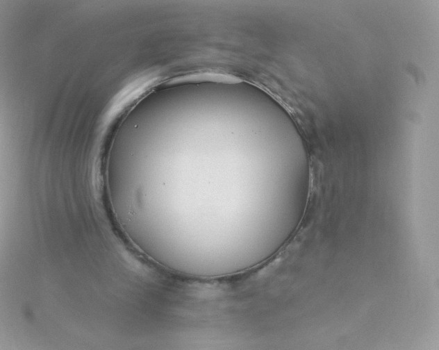 X0000115830245200911271205