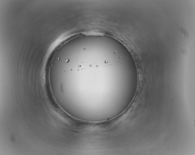 X0000115830246200911271205