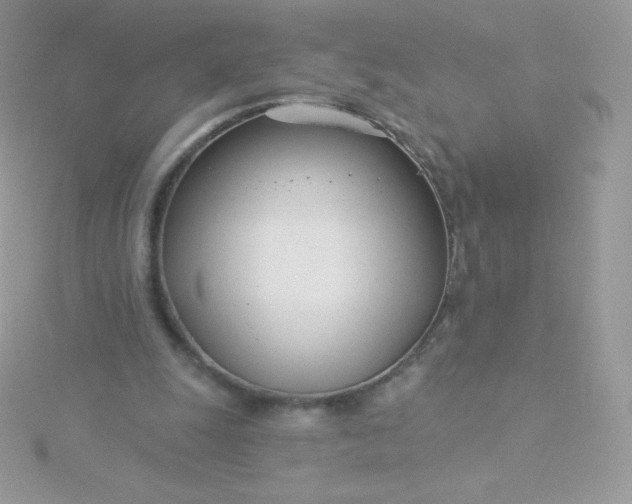 X0000115830247200911271205