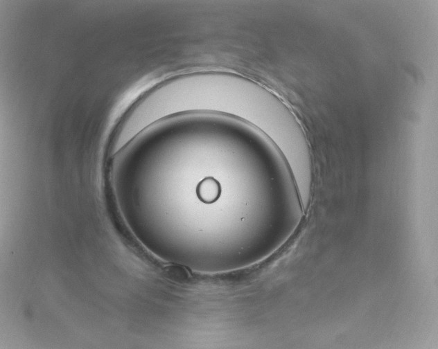 X0000115830248200911271205