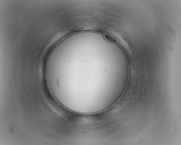 X0000115830250200911271205